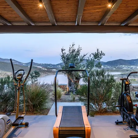 Panormos Bay Suites ホテル Panormos (Mykonos)